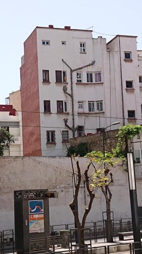 DSC 2501